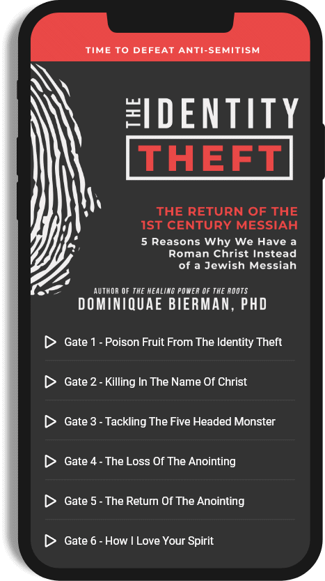 The Identity Theft audio book