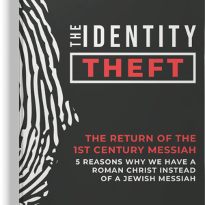 The Identity Theft book
