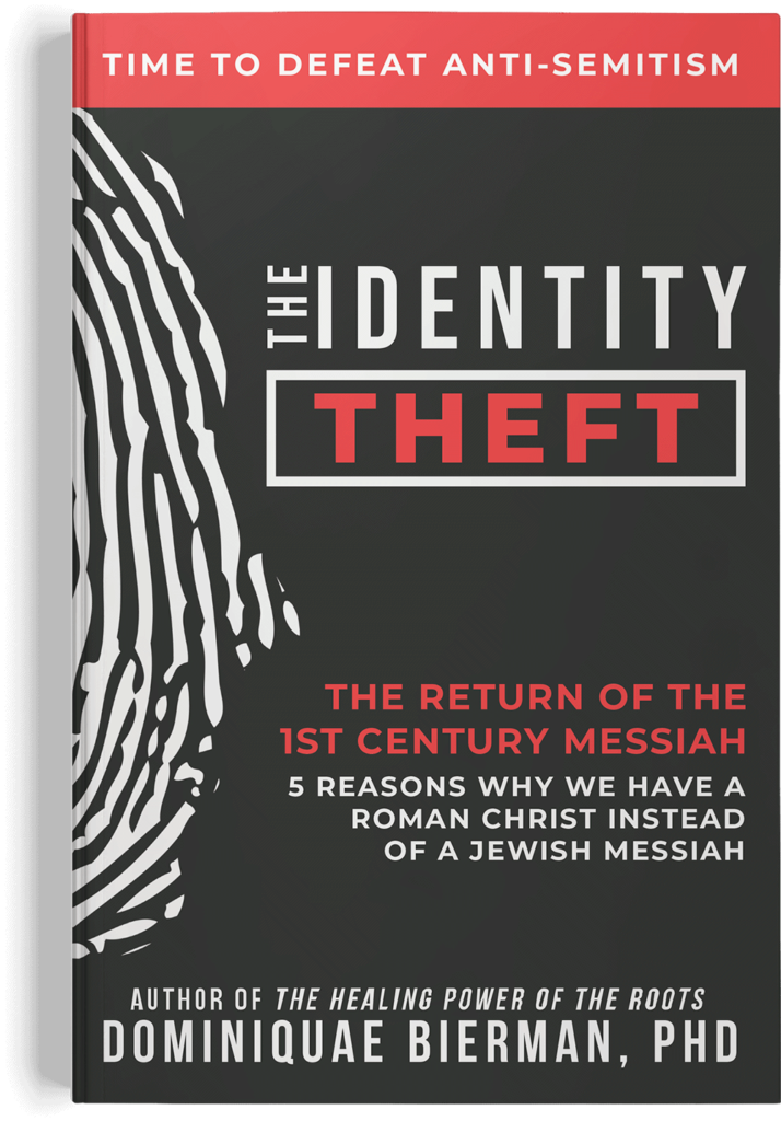 The Identity Theft book