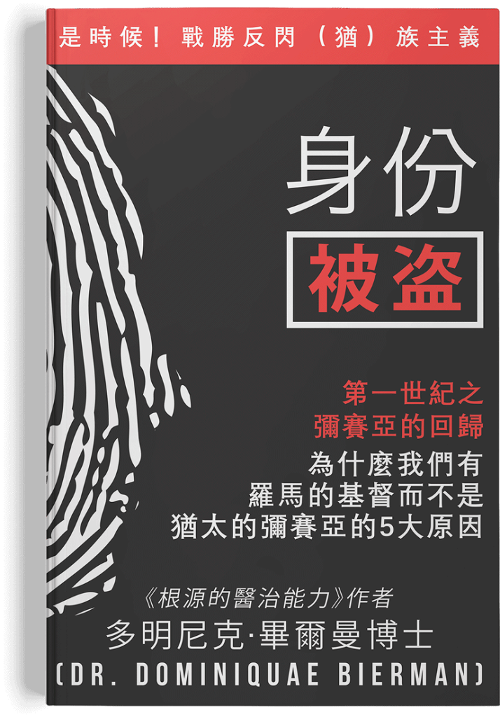 The Identity Theft book