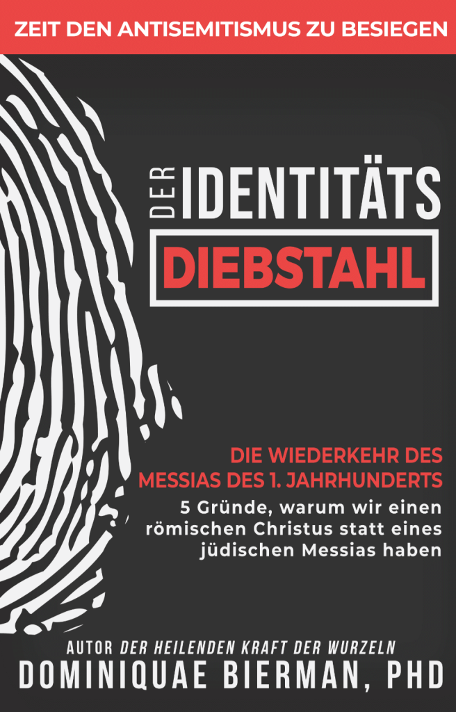 The Identity Theft book