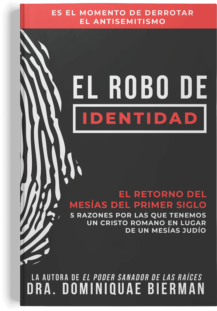 The Identity Theft book